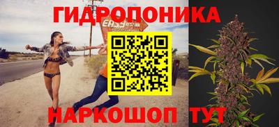 jwh Будённовск
