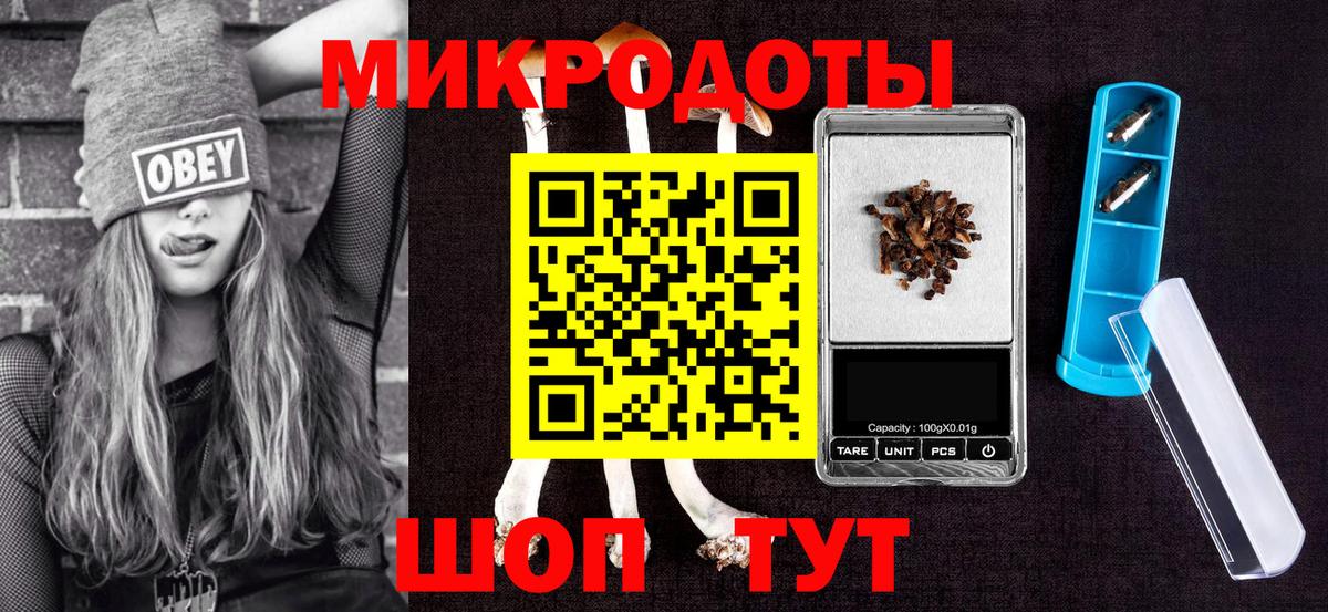 Псилоцибиновые грибы мицелий Партизанск